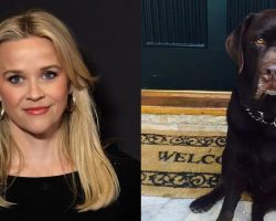 Reese Witherspoon mourns after death of beloved dog Hank: “We will miss your sweet spirit”