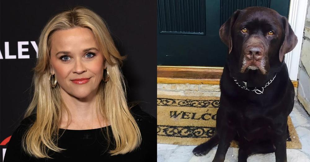 Reese Witherspoon mourns after death of beloved dog Hank: “We will miss your sweet spirit”