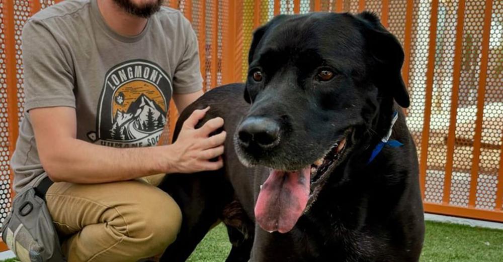 Dog returned to shelter for being “too boring” looking for new forever home