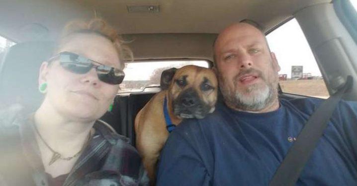 Man Leaves Car Door Open At Gas Station, Stray Dog Sneaks In And Asks To Be Adopted