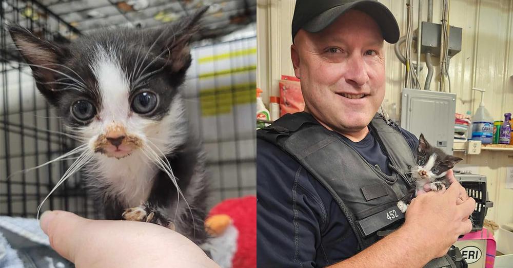 Police officer rescues scared kitten who was being tossed around by kids — then steps in to adopt him