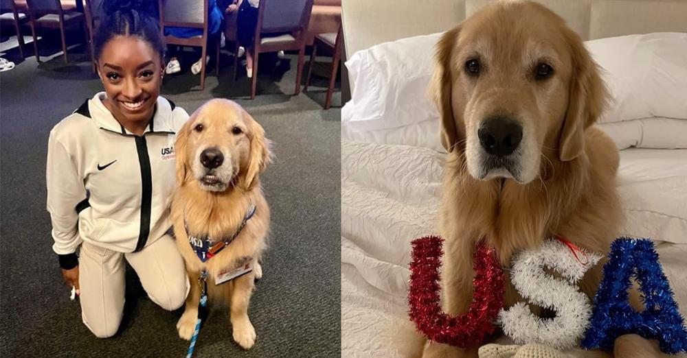 Beacon, beloved US Gymnastics therapy dog, rushed to emergency hospital after concerning symptoms