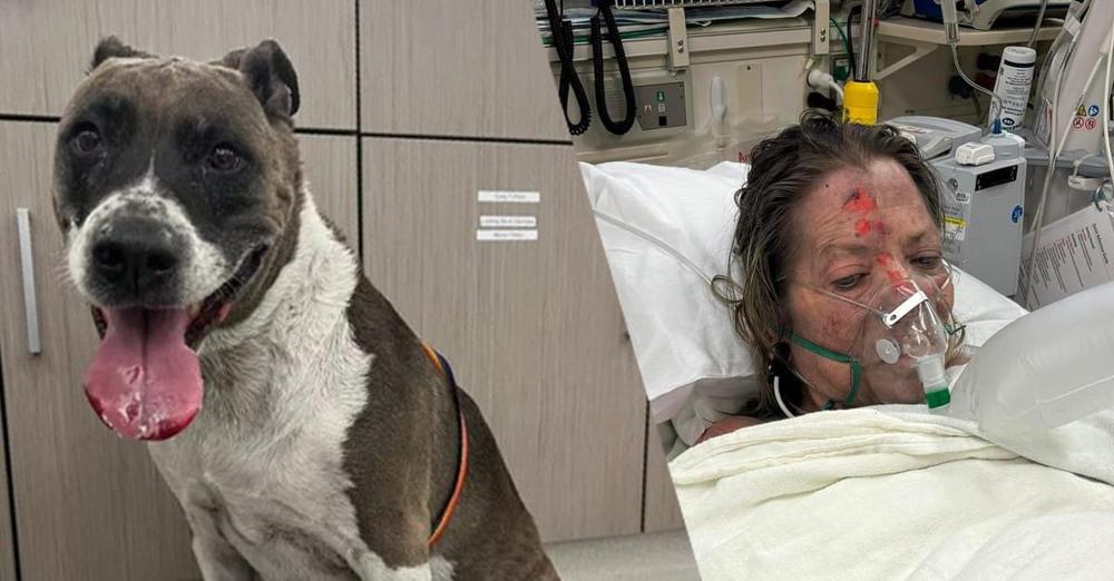Hero dog risks life to protect bedridden owner during house fire