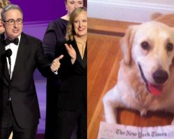 John Oliver dedicates Emmy win to his late dog — and all dogs everywhere: “You all deserve a treat”
