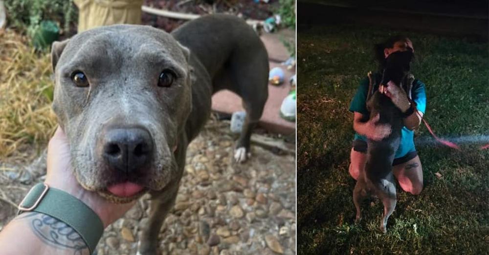 Florida dog who went missing 2 years ago found in Oklahoma, reunites with owner