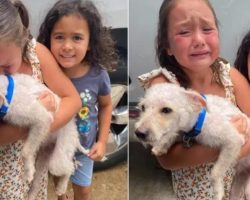 Little Girl Can’t Stop Crying Tears Of Joy When Her Lost Dog Is Finally Found After Two-Month