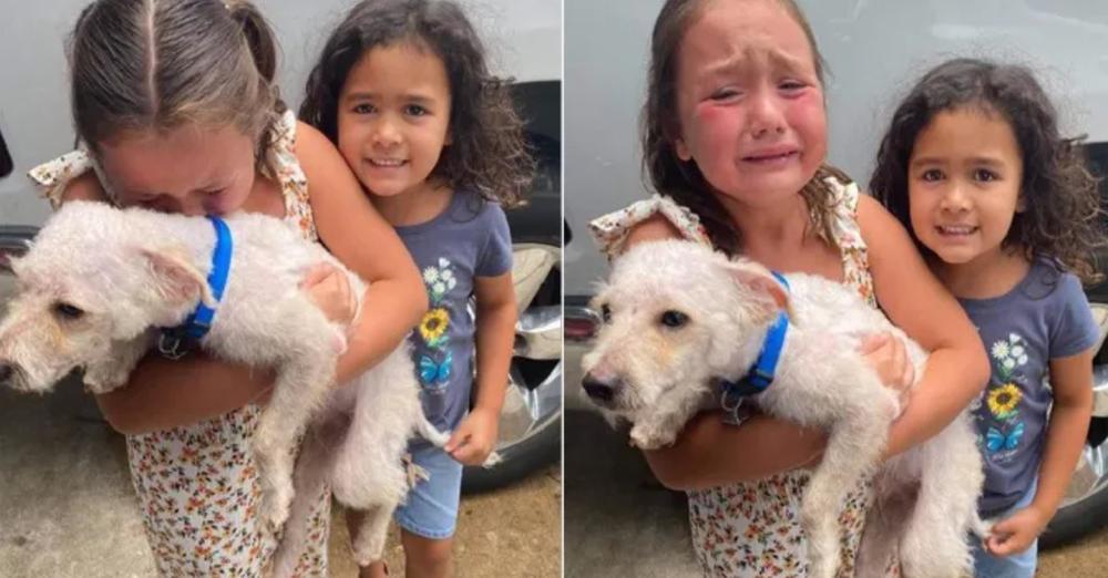 Little Girl Can’t Stop Crying Tears Of Joy When Her Lost Dog Is Finally Found After Two-Month