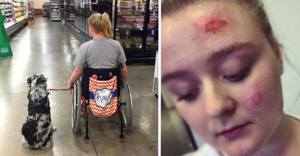 This Is Why You Should Never Pet A Service Dog