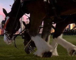 This 9/11 Commercial That Disappeared For Many Years, Will Give You Enough Feels To Last A Lifetime
