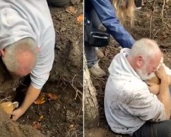 ‘Frantic’ Owner Cried After Finding His Dog Trapped In Foxhole For Over 50-Hours