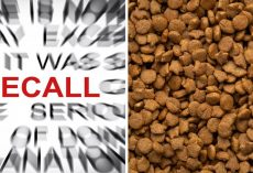 Dog Food Recall Warning For Beef and Chicken Dog Foods