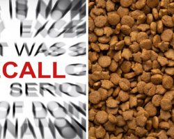 Dog Food Recall Warning For Beef and Chicken Dog Foods