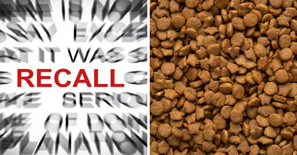 Dog Food Recall Warning For Beef and Chicken Dog Foods