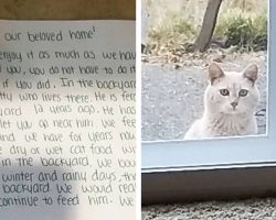 Family move into new home and find note from old homeowner asking them to care for cat