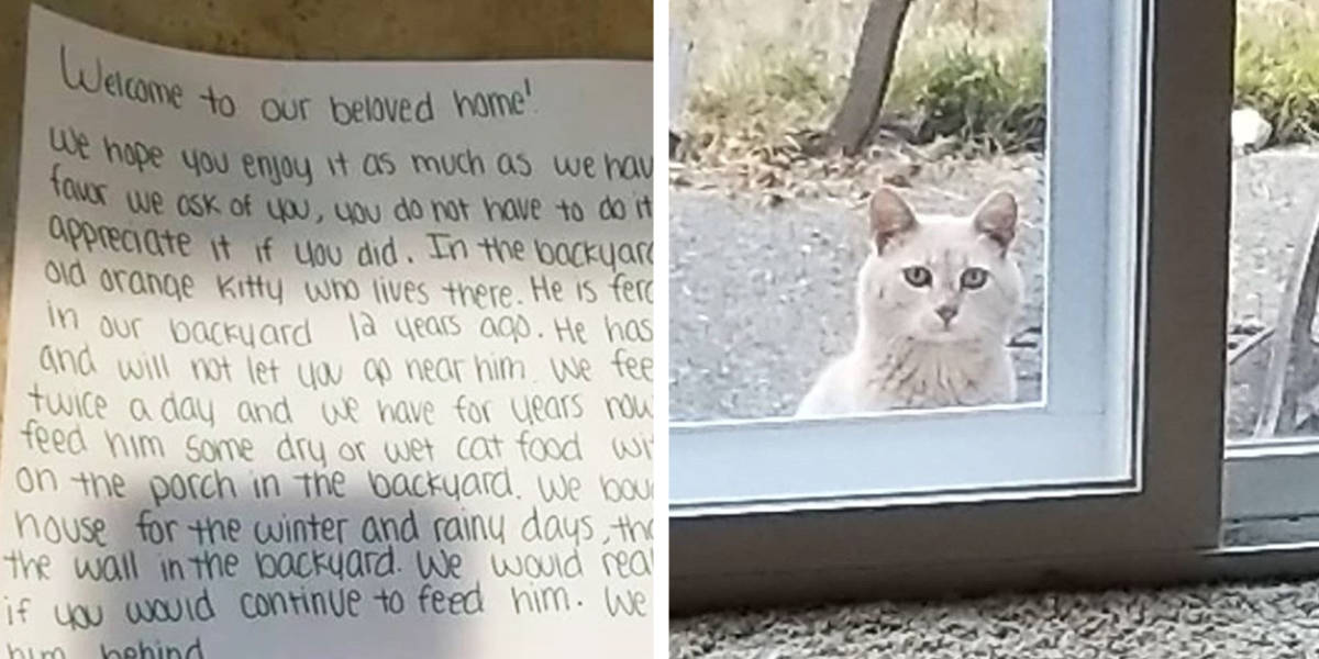Family move into new home and find note from old homeowner asking them to care for cat
