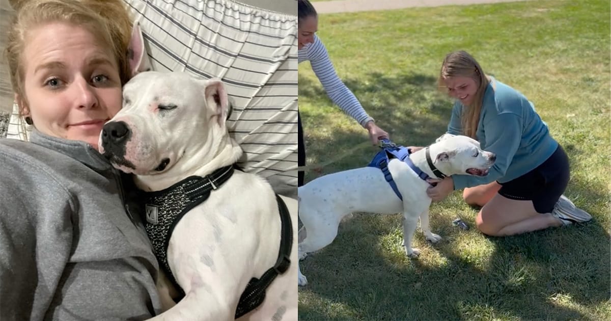 Woman sees favorite foster dog from 4 years ago on adoption sight — fate brings them back together