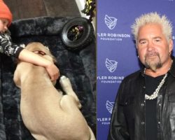 Guy Fieri and son Ryder pay tribute to late family dog Roxy: “She lived a great life”