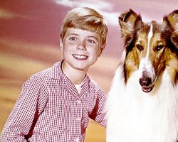 Lassie’s little Timmy reveals the secrets of TV’s most famous dog