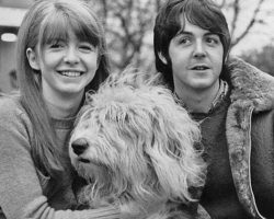 The classic Beatles song that is actually about Paul McCartney’s dog