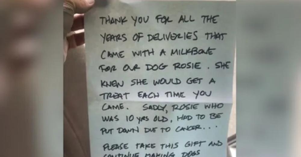 “I Was Heartbroken” UPS Driver Receives Special Farewell Note From Dog With Cancer