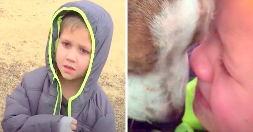 Little Boy’s Dog Was Missing For A Month, When Mom Calls Her Son Over