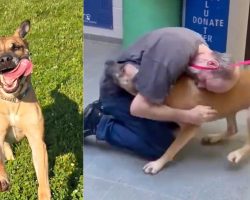 Man had to give up his beloved dog while battling cancer — 2 years later, miracle reunites them