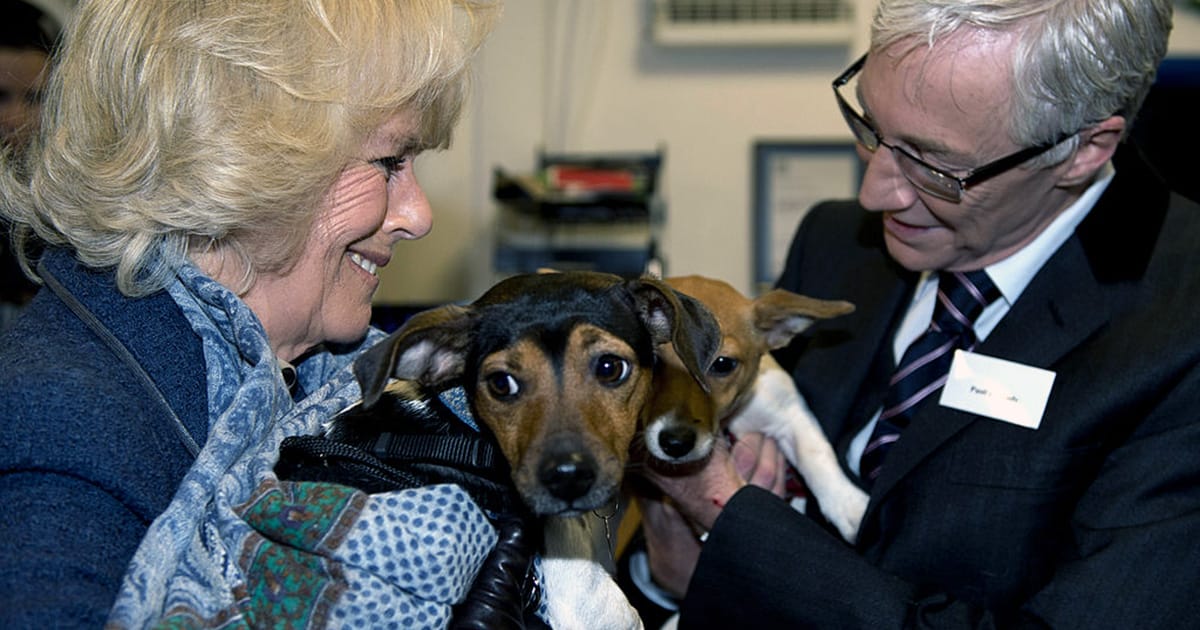 Queen Camilla “heartbroken” after death of her beloved rescue dog Beth — rest in peace