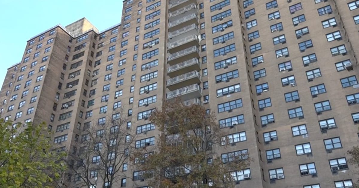 Man arrested after throwing pit bull from 14-story balcony, charged with animal cruelty