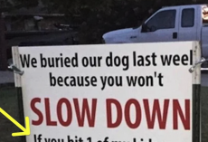 After dog is hit and killed by car, family’s brutal sign has the whole neighborhood talking