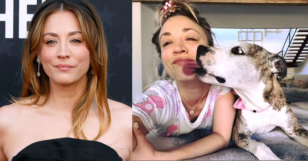 Kaley Cuoco shares her emotional story about rehoming her dog Shirley: an “excruciating decision”