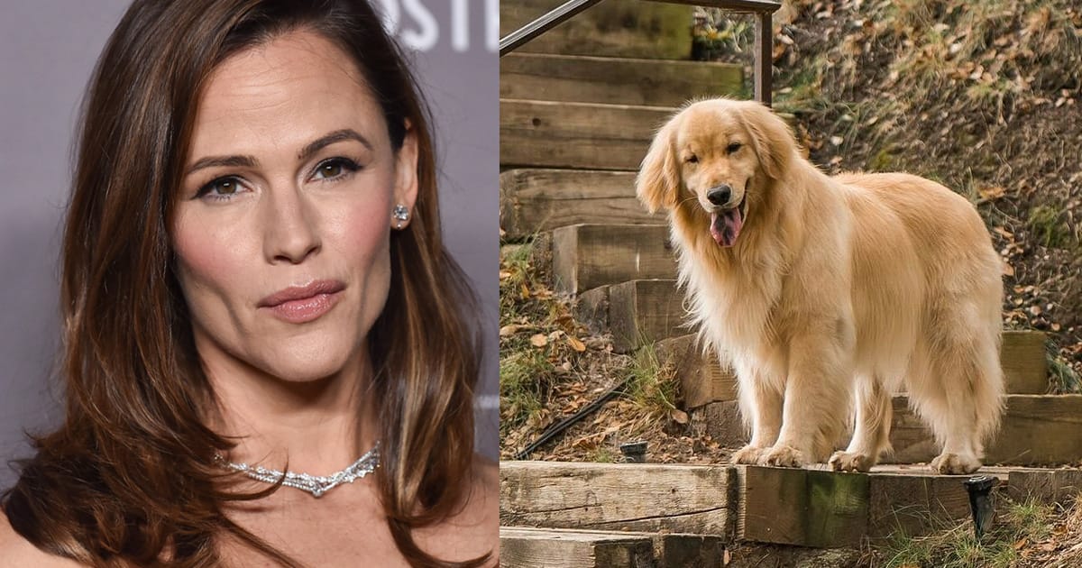 Jennifer Garner mourns beloved dog Birdie in sweet social media tribute: “angel girl”