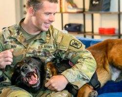 Military dog and handler formed inseparable bond in Iraq — years later, they’re finally reunited
