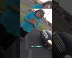 Woman Biker Saves Kitten Stranded On Road Inches Away From Being Hit By Passing Cars