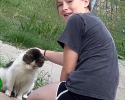 Mother watches 13-year-old earn homeless cat’s trust