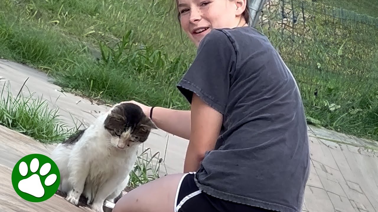Mother watches 13-year-old earn homeless cat's trust