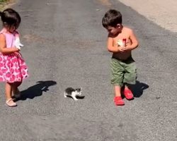 Tiny three-legged kitten follows children home