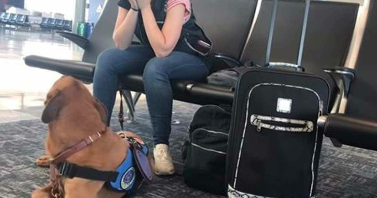 Dog suddenly sees owner start to shake – then camera captures 1 move that amazes everyone