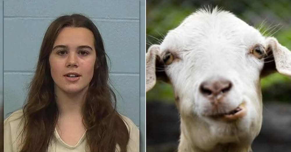 Local Cheerleader Accused of Poisoning Rival’s Show Goat Is Barred From Caring For Her Pets On Her Own