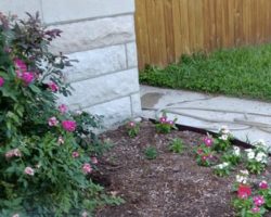 Woman keeps finding pink flowers on her porch – one day she finally catches her secret admirer in action
