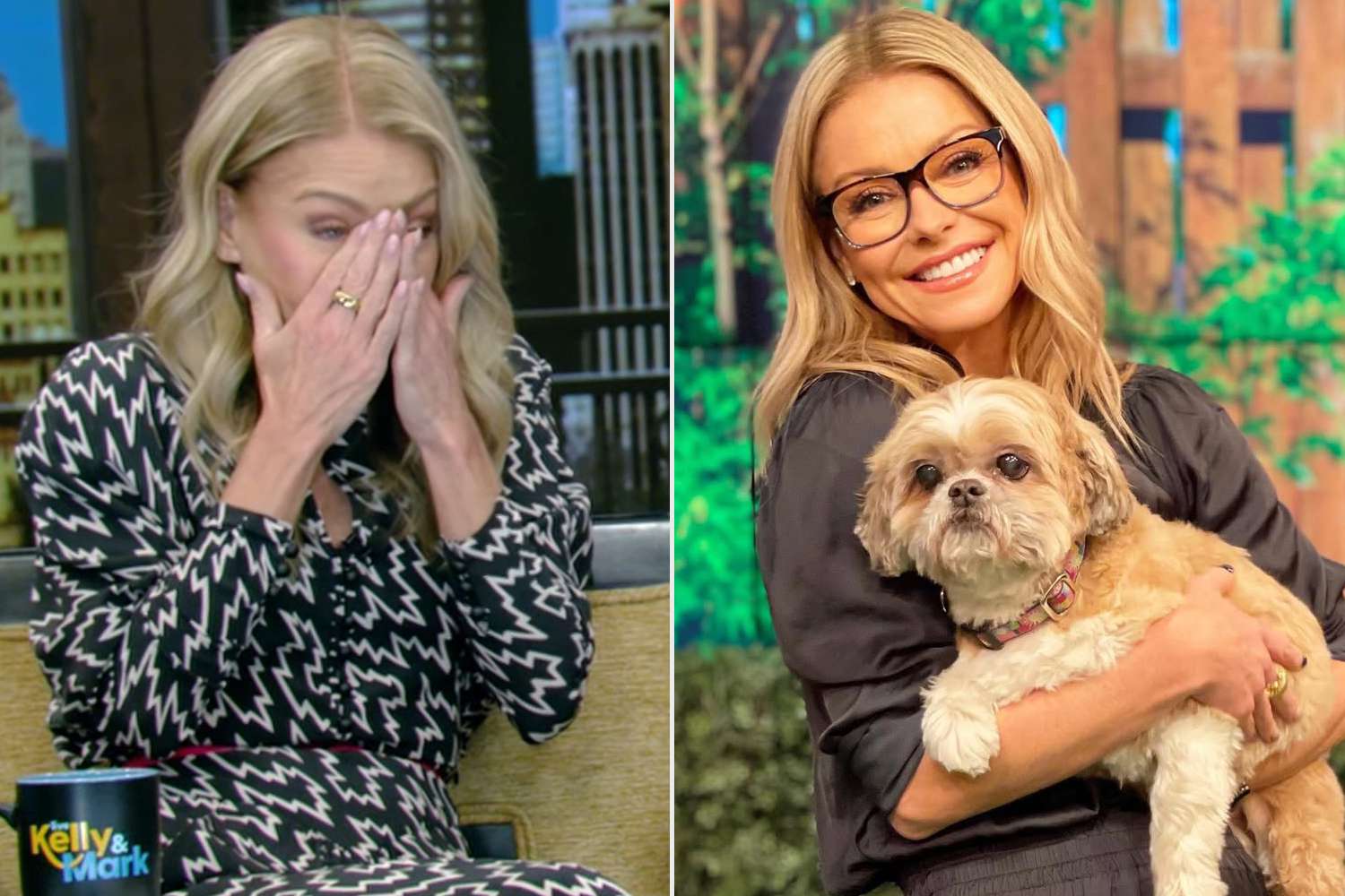 Kelly made the "toughest" decision after Chewie began eating less and less for weeks