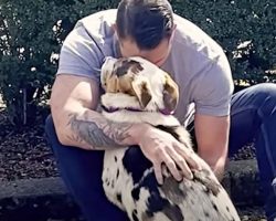 Guy Clutches Hostile Dog From Dumping Ground, Whispers ‘I Trust Him’
