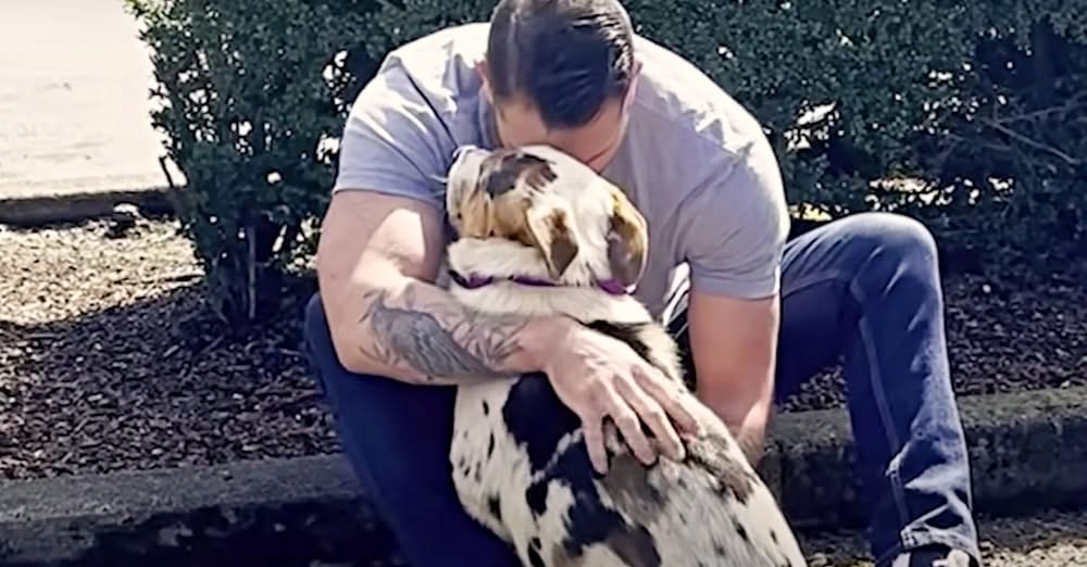 Guy Clutches Hostile Dog From Dumping Ground, Whispers ‘I Trust Him’