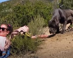 Set Of Eyes Followed Woman As She Hiked Up Mountain, Drawing Her Closer