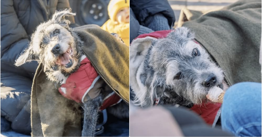 Dog’s Sendoff Was An Upbeat Celebration Filled With Everything She Loved