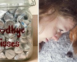 Animal Hospital Offers Dogs Chocolate “Goodbye Kisses” In Their Final Moments