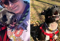 Dog Can’t Stop Smiling During ‘Special Outing’ After Spending 886 Days In Shelter