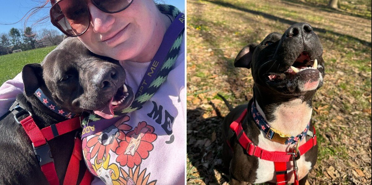 Dog Who Spent 886 Days In Shelter Can’t Stop Smiling During 'Special Outing'