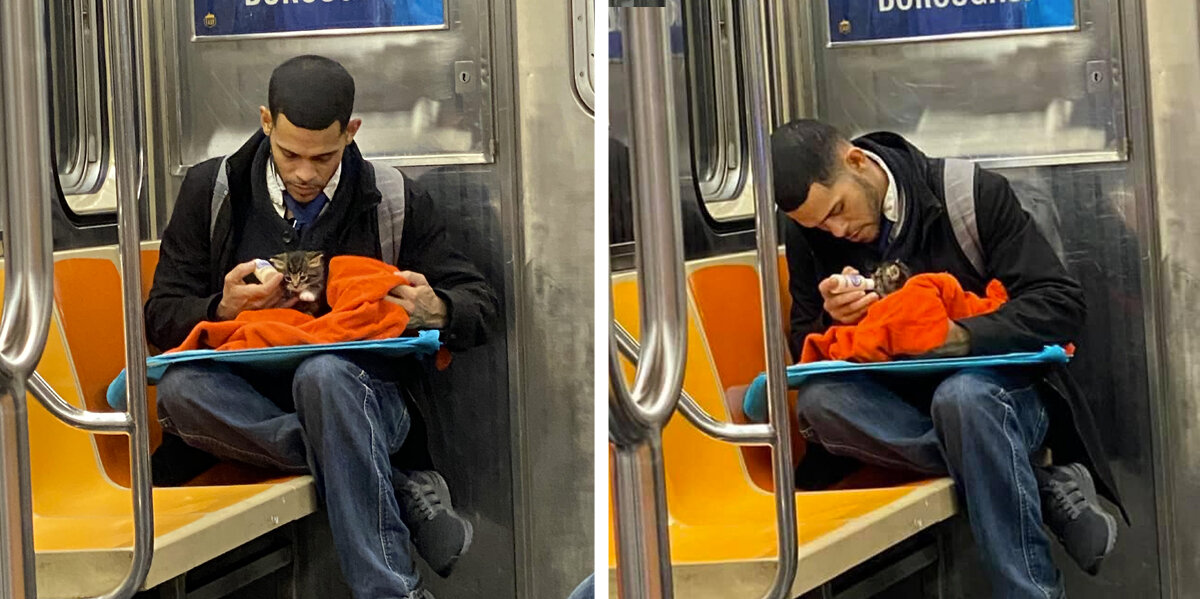 Man Seen Bottle-Feeding Tiny Kitten on Subway Restores People's Faith in Humanity