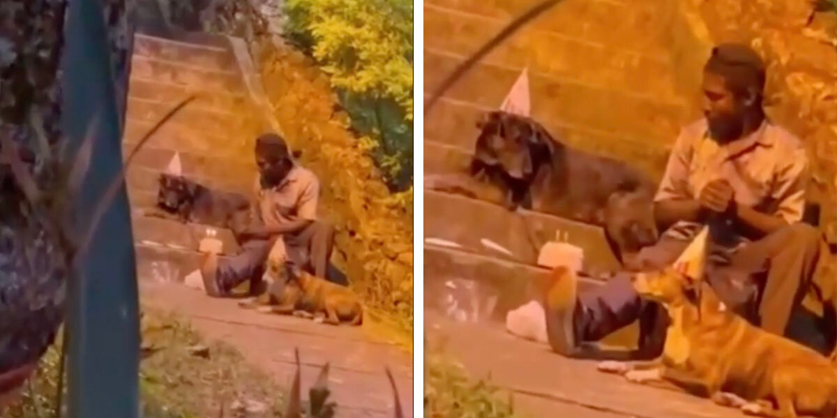 Homeless Man Caught on Camera Throwing Heartfelt Birthday Party for His Dog