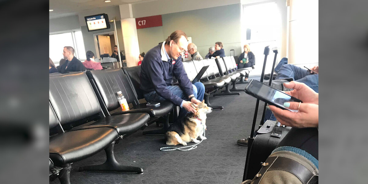 Sweet Corgi Spots Man at Airport and Instinctively Offers Comfort